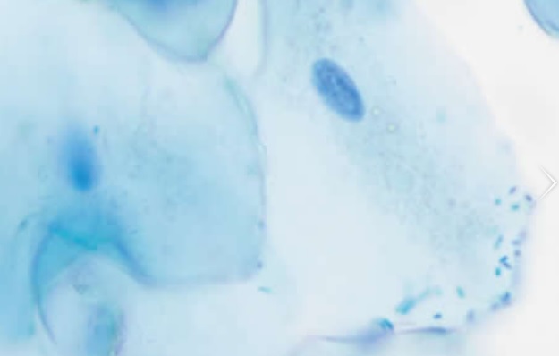 Actualización del Código de Buenas Prácticas de Farmaindustria