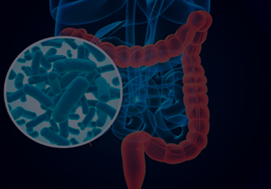 La intervención sobre la microbiota intestinal puede ayudar en la prevención y manejo de la diabetes