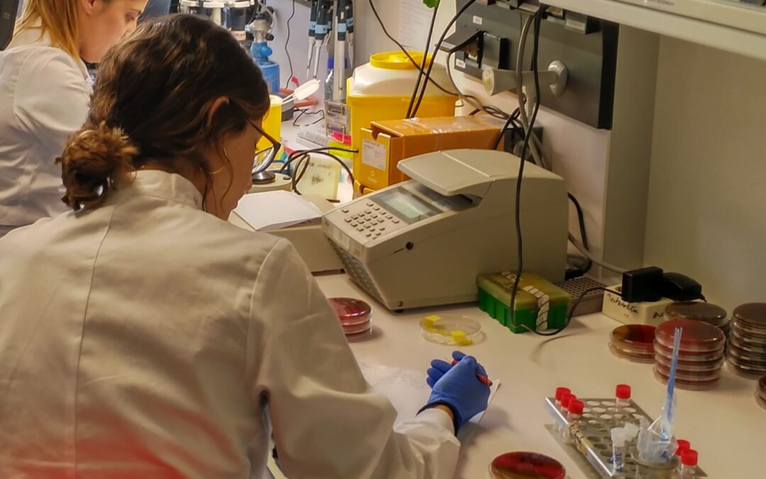 La SED refuerza su apuesta por dar visibilidad a la investigación en diabetes en España