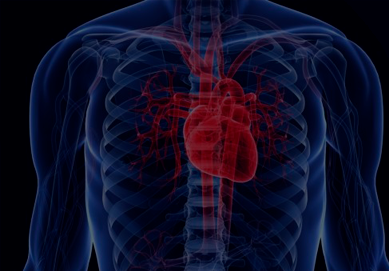 Diabetes e insuficiencia cardiaca, una relación bidireccional